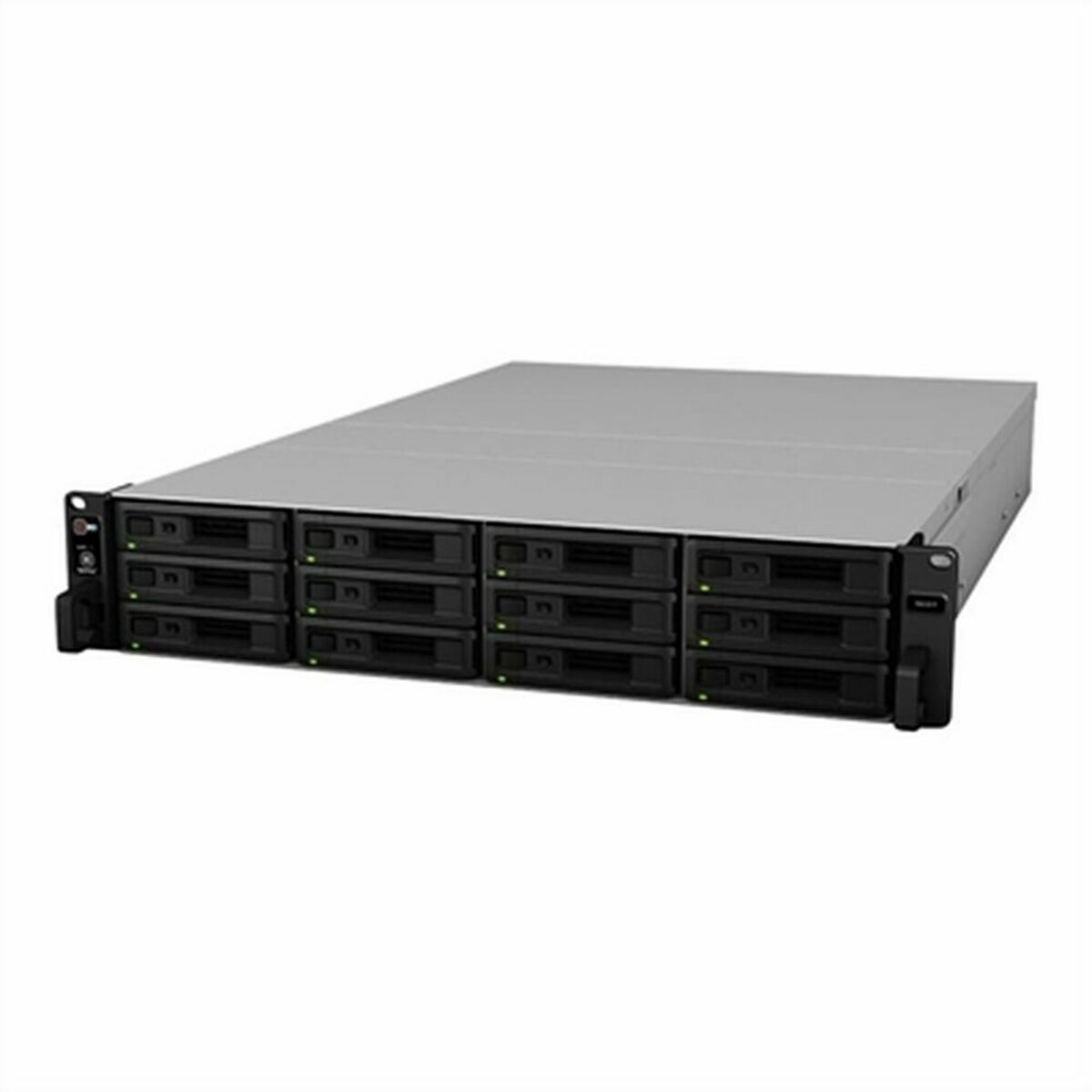 RAID-styrkort Synology Z661002 - 3