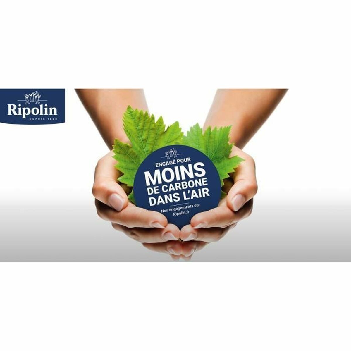 Grundfärg Ripolin Matt 10 L - 4