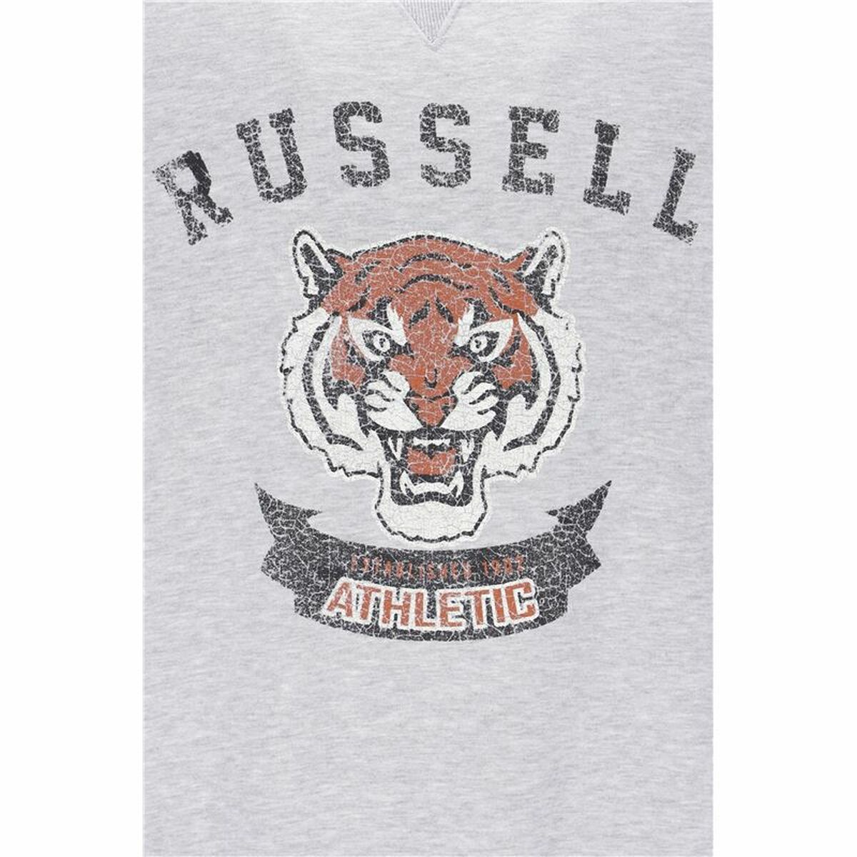 Tröja utan huva Herr Russell Athletic Honus Ljusgrå - 2