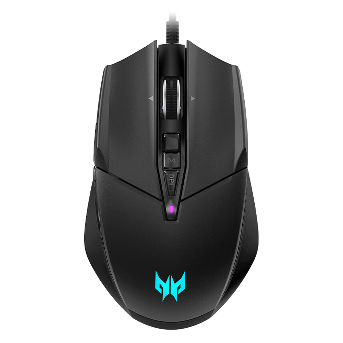 Mus Acer Cestus 335 - 2