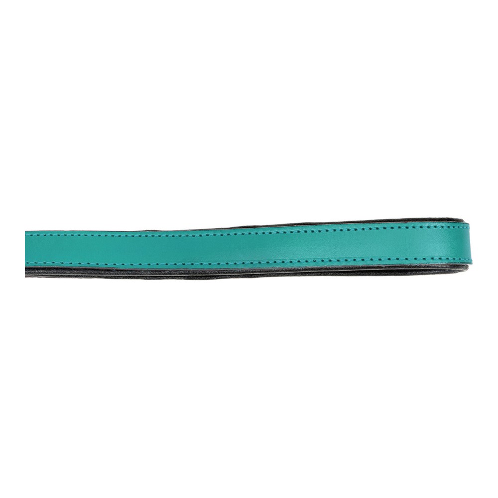DoHundkoppel Gloria Turquoise 1.8 x 100 cm - 3