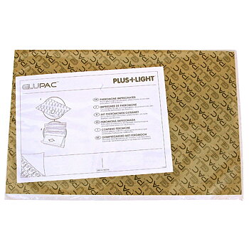 Glueboards