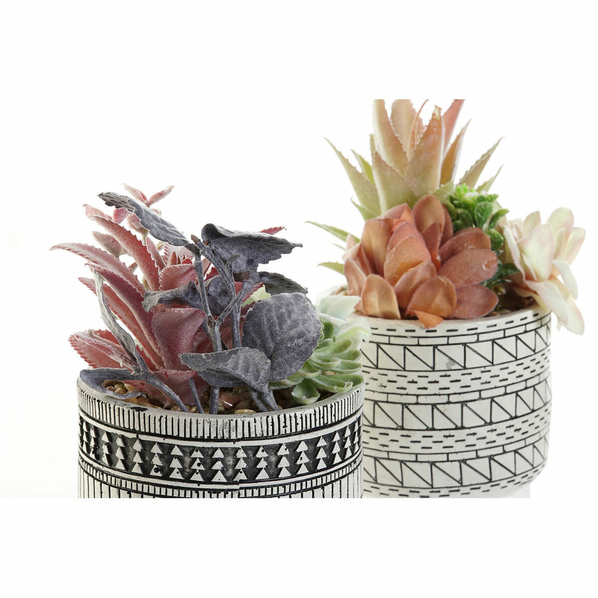 Dekorativ växt DKD Home Decor Kaktus Harts Polyetylen 11 x 11 x 21 cm (2 antal) - 6