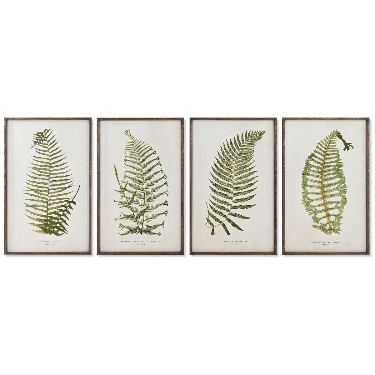 Tavla Home ESPRIT Glas Gran 45 x 2,5 x 70 cm