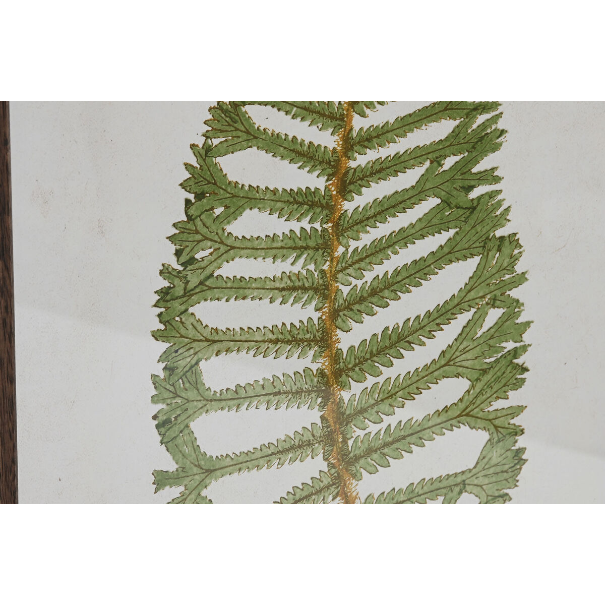 Tavla Home ESPRIT Glas Gran 45 x 2,5 x 70 cm - 3