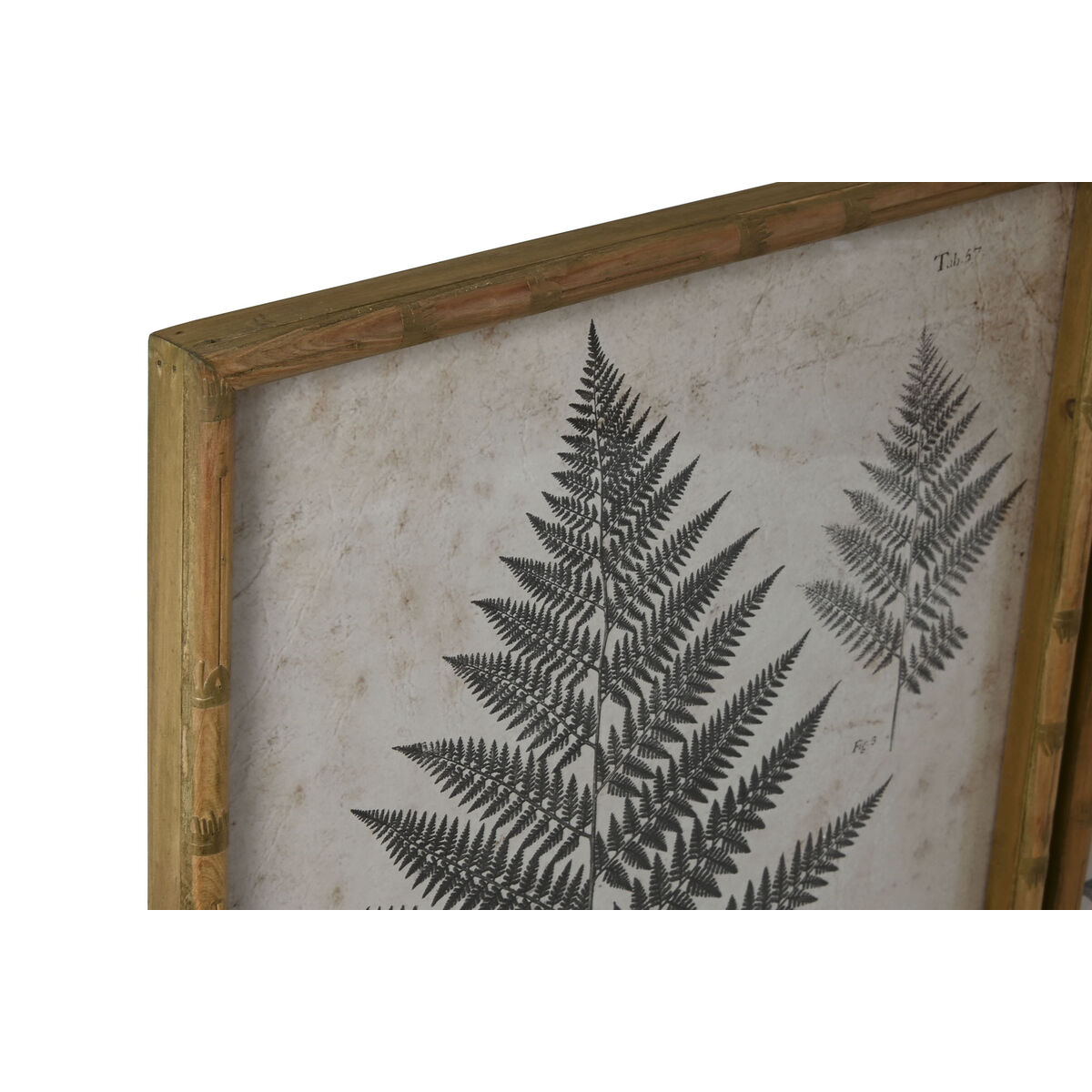 Tavla Home ESPRIT Glas Gran 50 x 3 x 70 cm 50 x 2,5 x 70 cm - 4