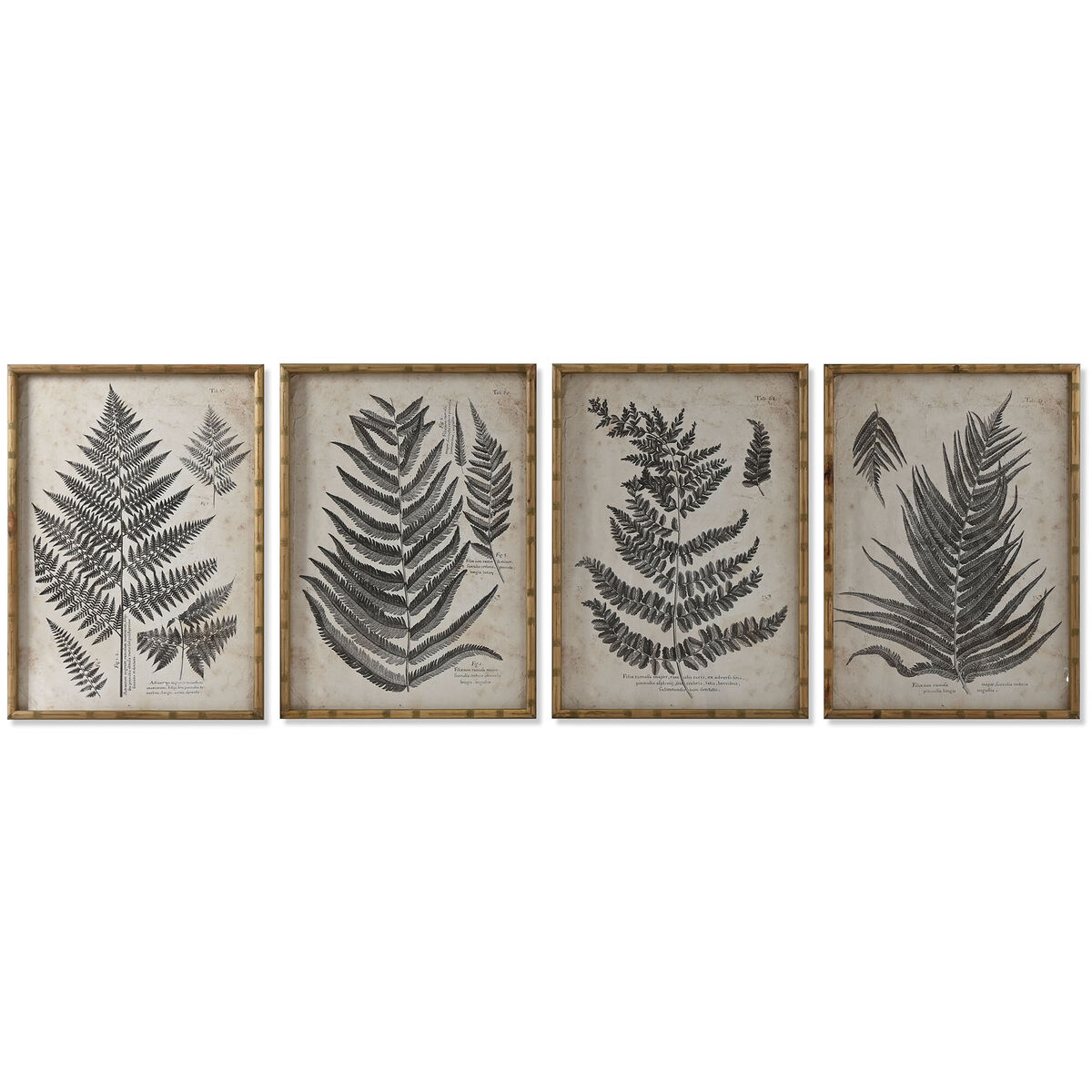 Tavla Home ESPRIT Glas Gran 50 x 3 x 70 cm 50 x 2,5 x 70 cm