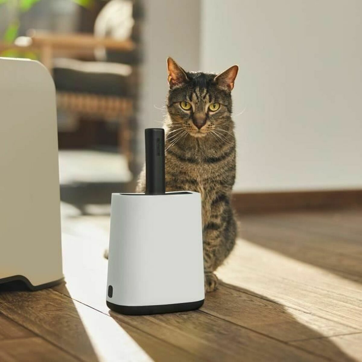 Sopskyffel Rotho My Pet Vit Återvunnen plast - 2