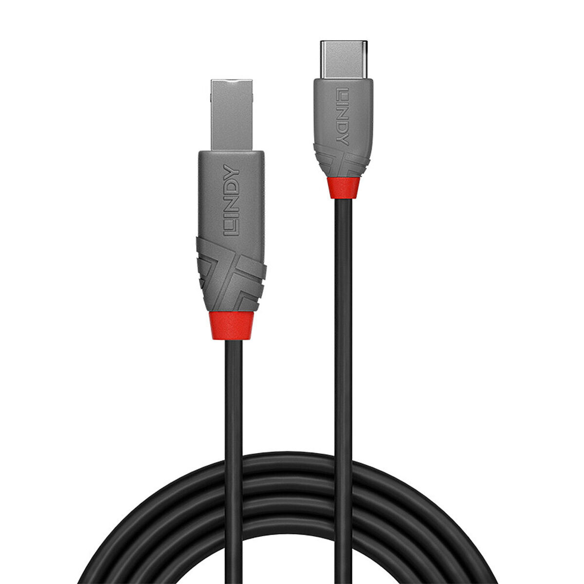 USB C till USB B Kabel LINDY 36942 Svart 2 m - 2