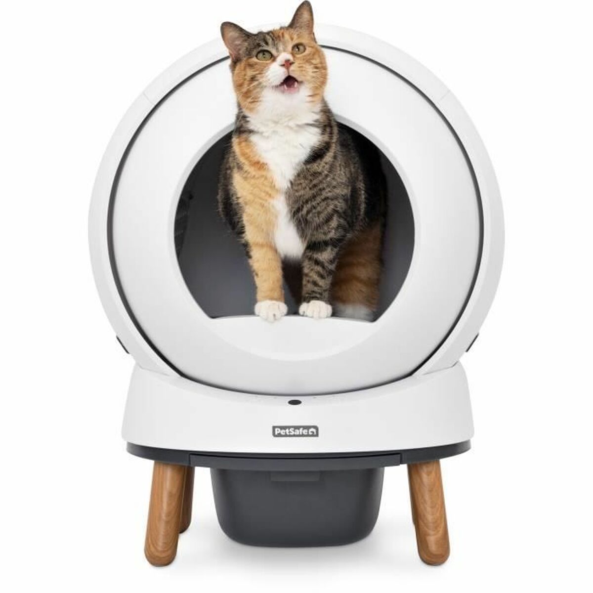 Bricka PetSafe - 5