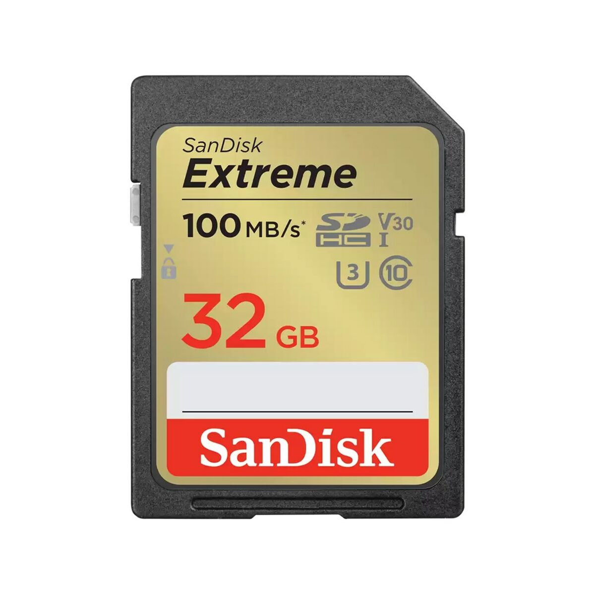 SDHC Minneskort SanDisk SDSDXVT-032G-GNCIN 32 GB