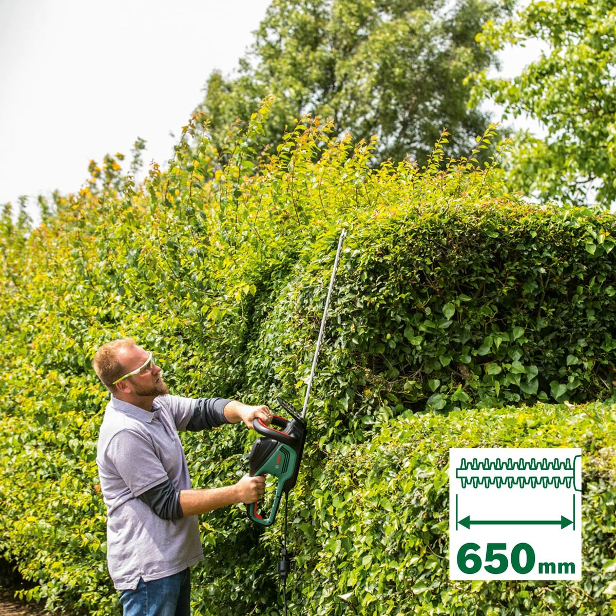 Häcktrimmer BOSCH   500 W 65 cm - 3