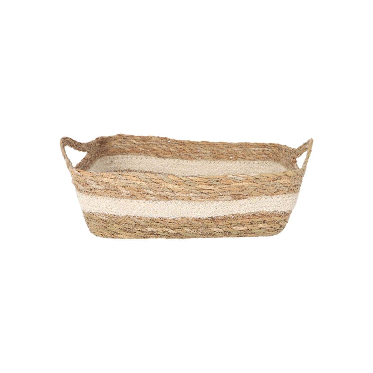 Förvaringslåda Privilege vide 25 x 20 x 8 cm (12 antal) - 2