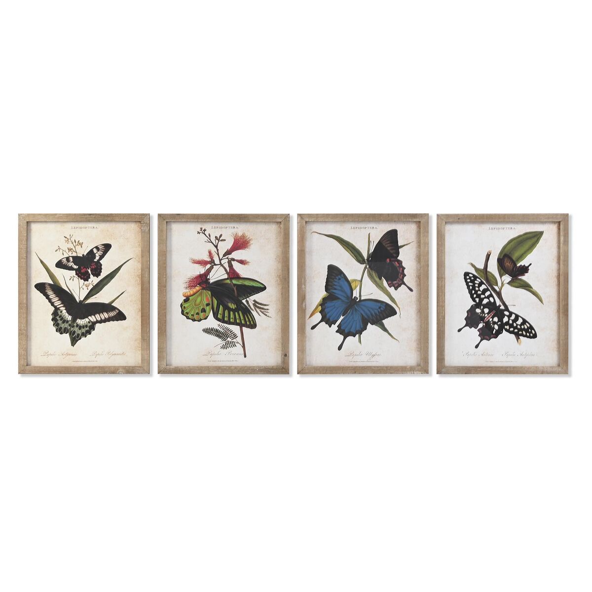 Tavla DKD Home Decor Glas Gran 40 x 2 x 50 cm - 4