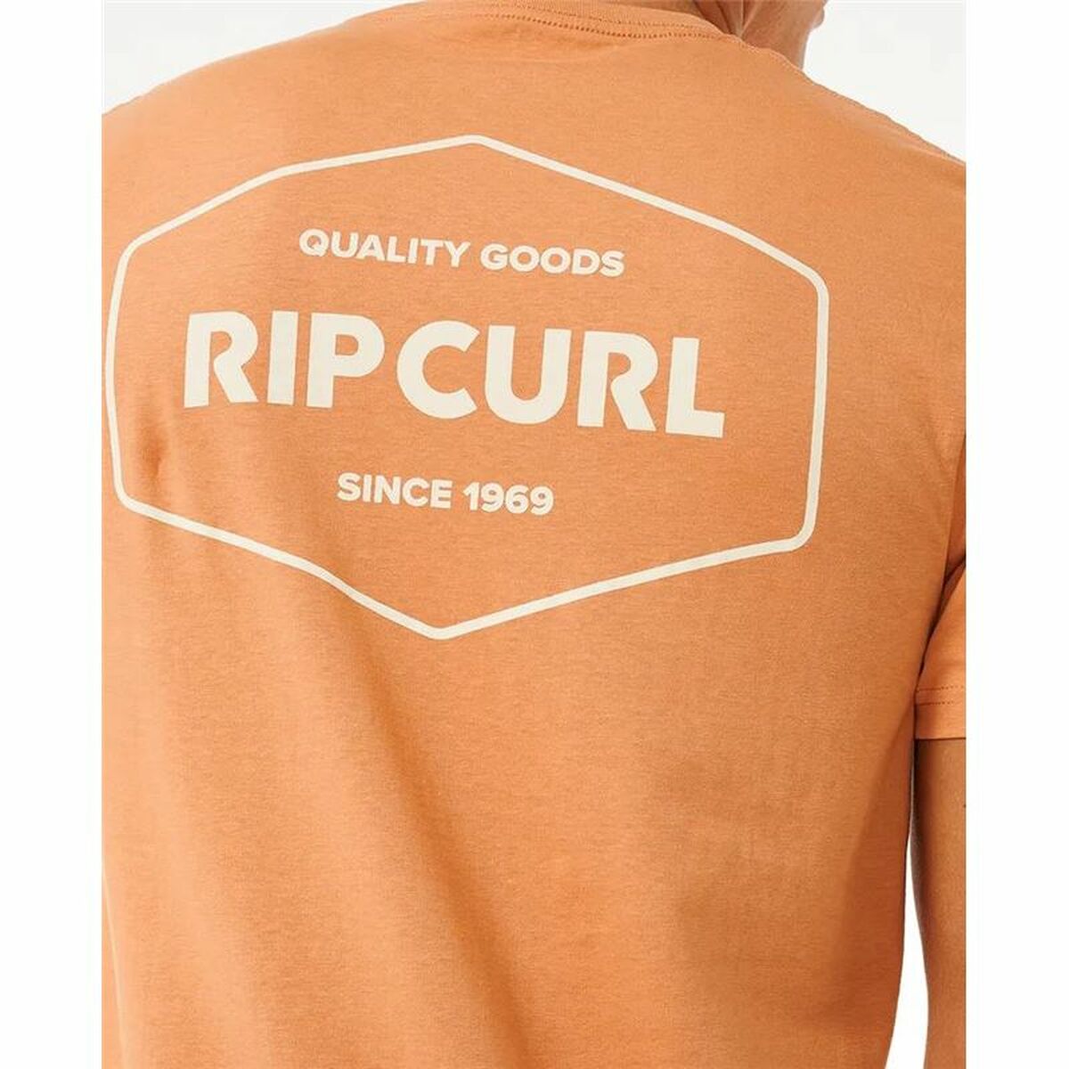 Sporttröja med ärmar Rip Curl Stapler  Ljusbrun - 5
