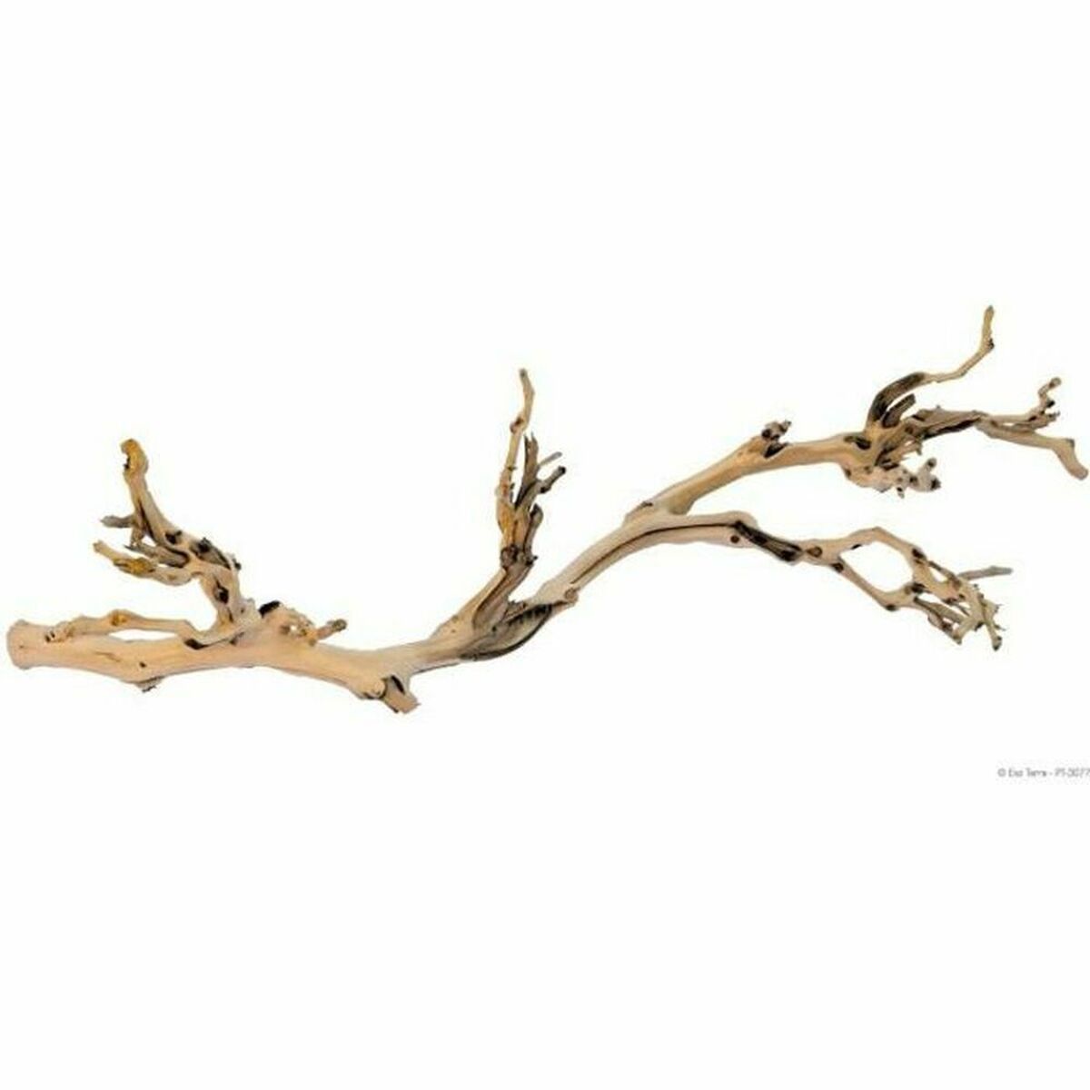 Terrariumtillbehör Exo Terra PT3077A1 Terrarium