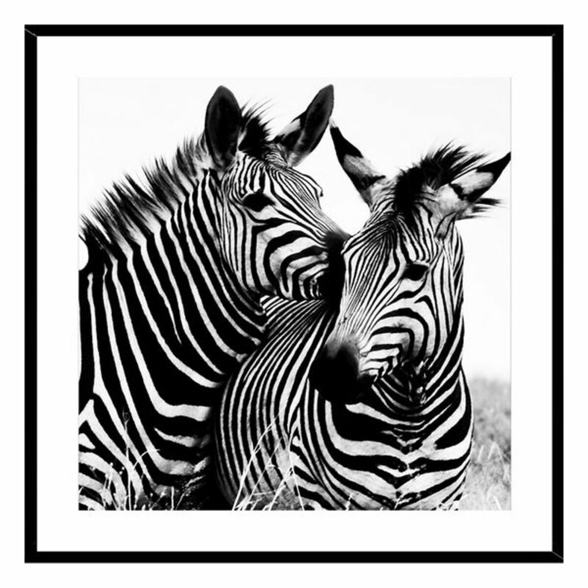 Tavla Zebra Glas (2 x 50 x 50 cm) - 4