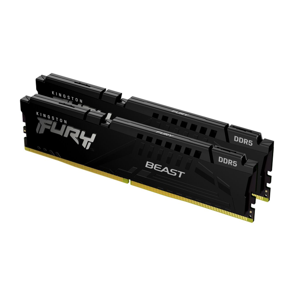 RAM-minne Kingston Beast 32 GB