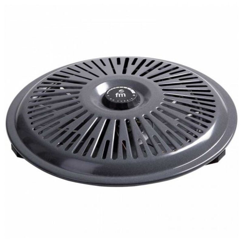 Kamin Grupo FM B-750 700W Grå 700 W - 2