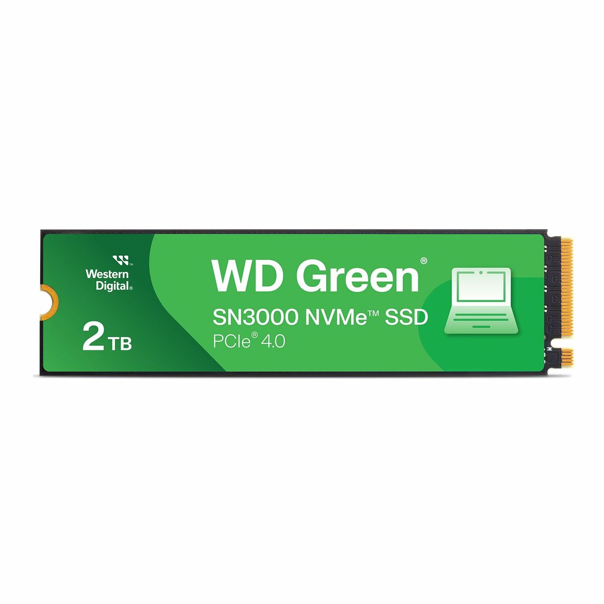 Hårddisk Western Digital WDS500G4G0E-00CPS0 500 GB SSD