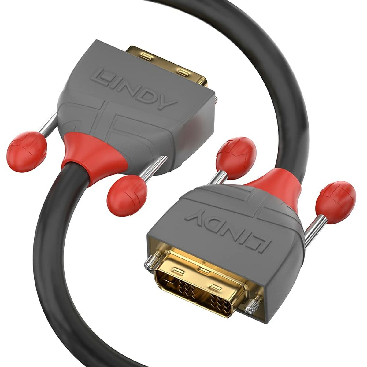 DVI-kabel LINDY 36228 Svart - 2