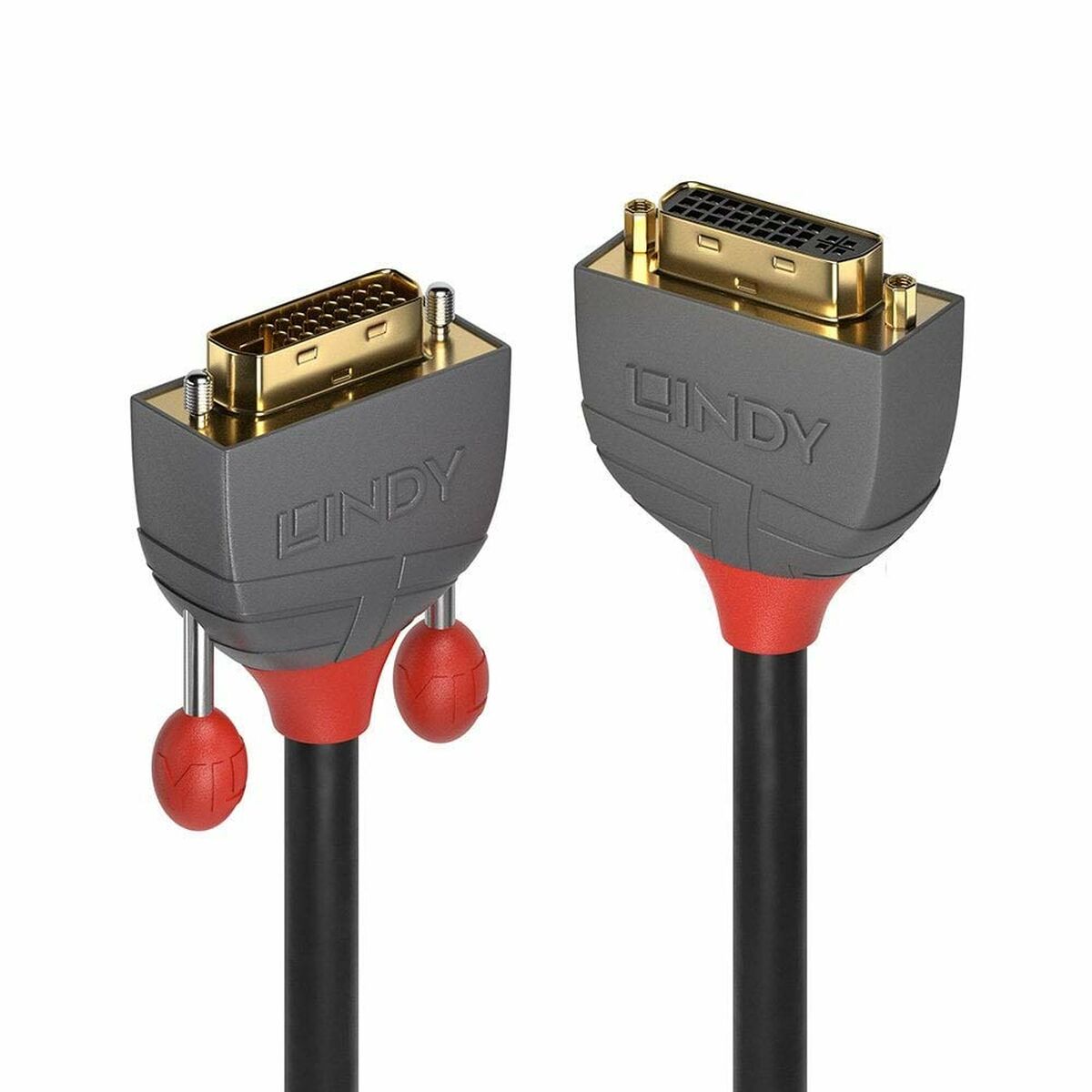 DVI-kabel LINDY 36232 2 m Svart