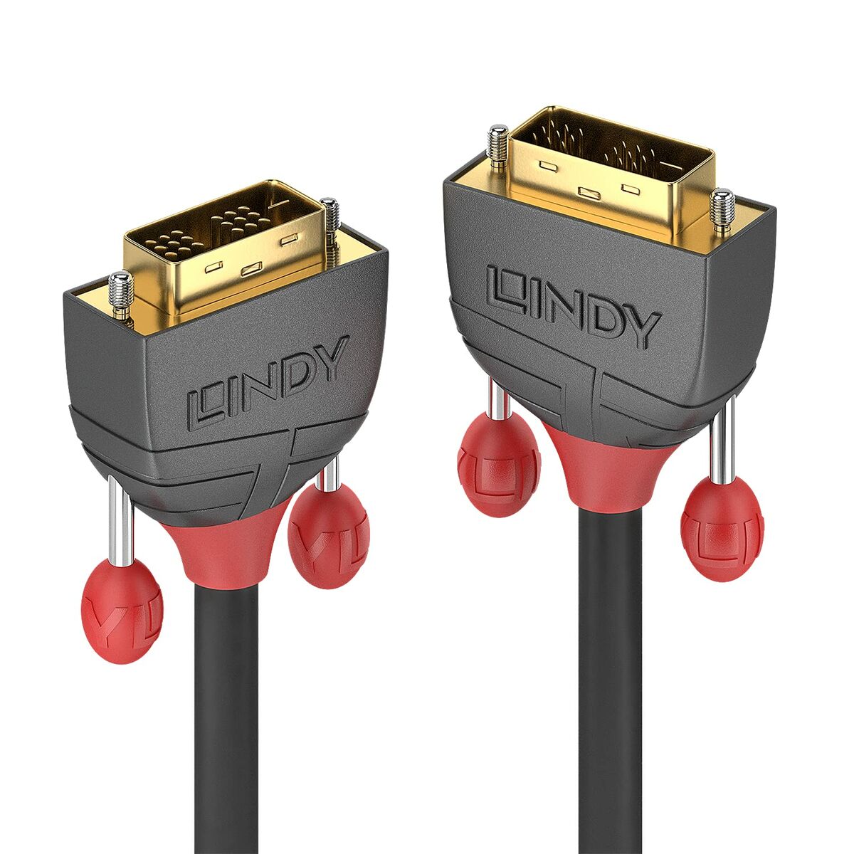 DVI-kabel LINDY 36241 Svart