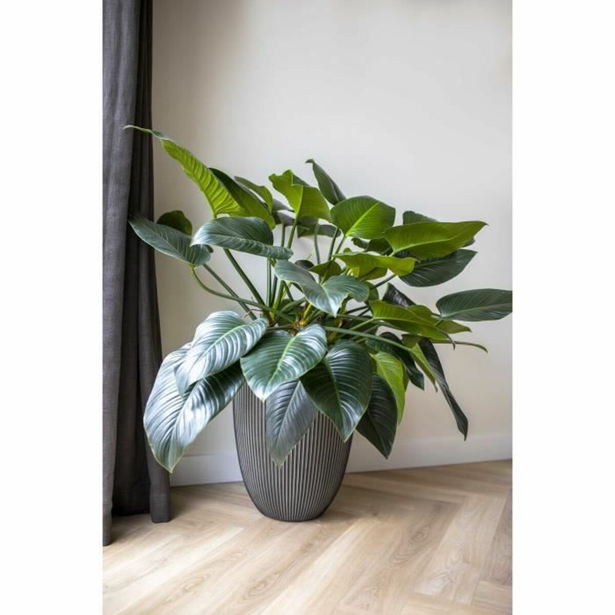 Vas Capi Europe GROOVE NL Antracitgrå Plast 34 x 34 x 46 cm - 2