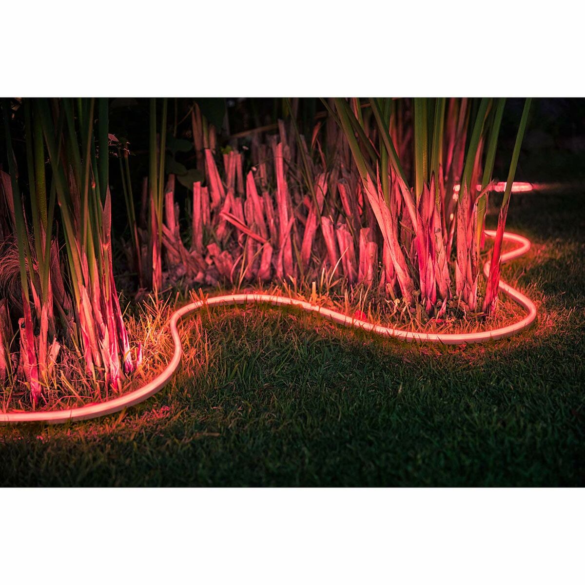LED trakovi Philips Tira de luz para exteriores 5 metros G 6500 K - 14