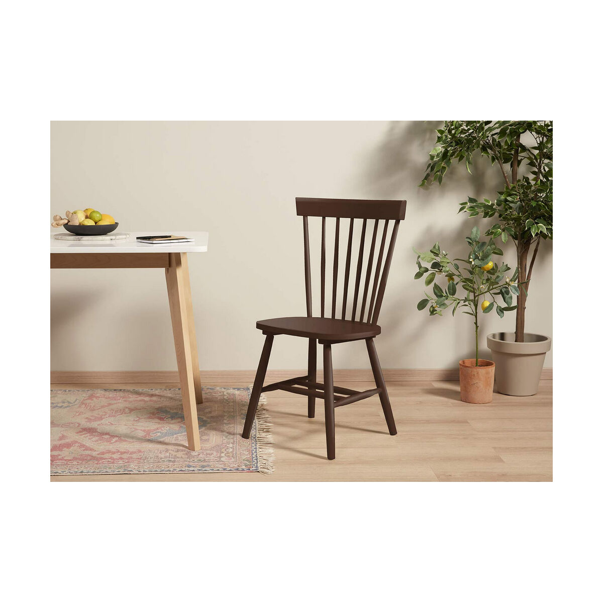 Fernissa Bruguer 5057538 750 ml Ytlack - 6