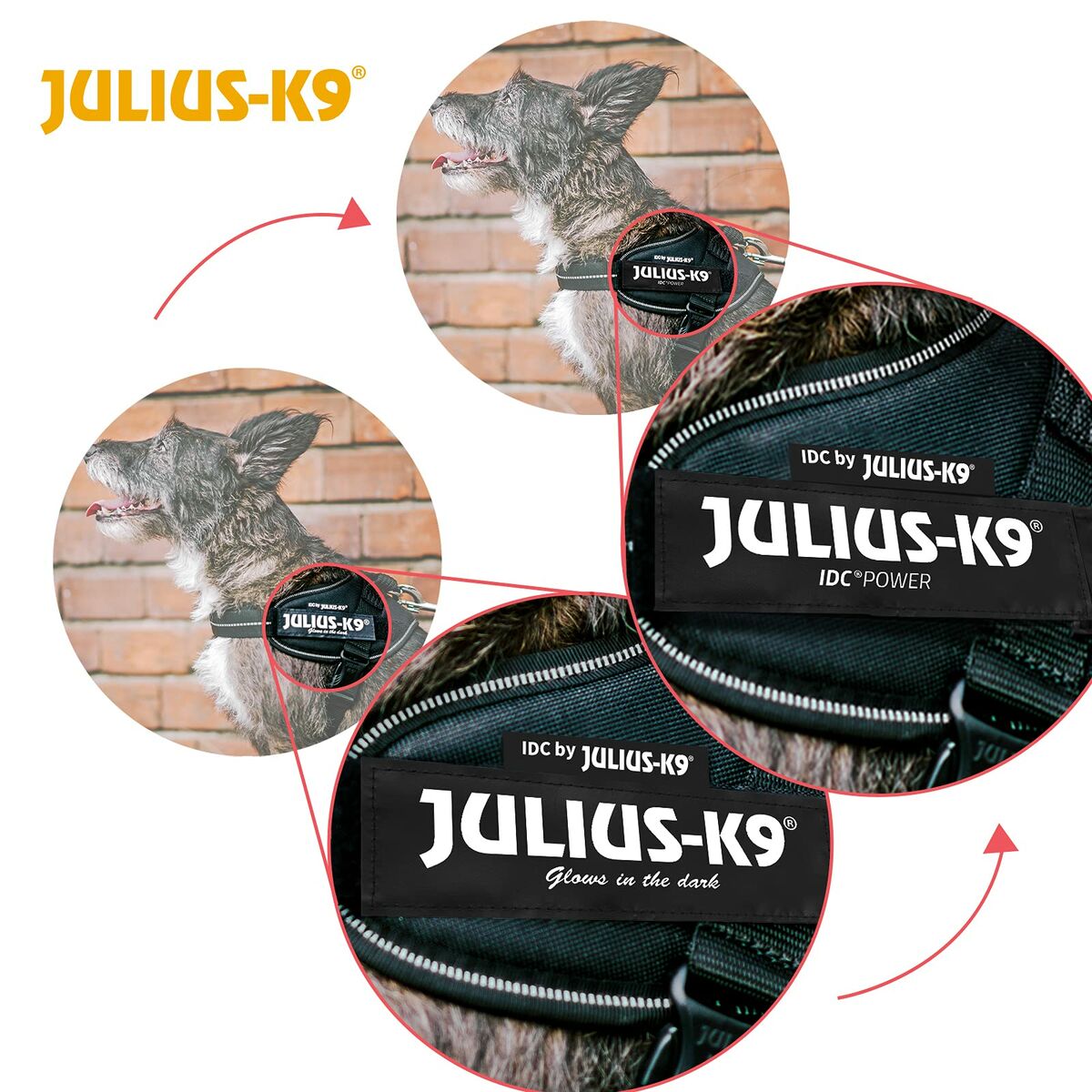 Hundsele Julius K9 IDC Cowboy L/XL 2 - 6