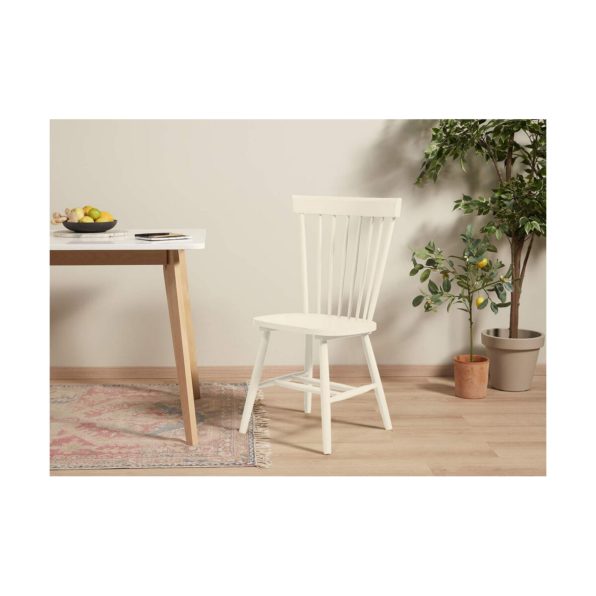 Fernissa Bruguer 5057441 750 ml Ytlack - 6