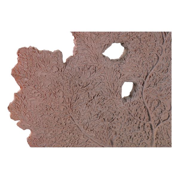 Prydnadsfigur DKD Home Decor Korall Harts Marmor (43 x 8 x 39 cm) - 2