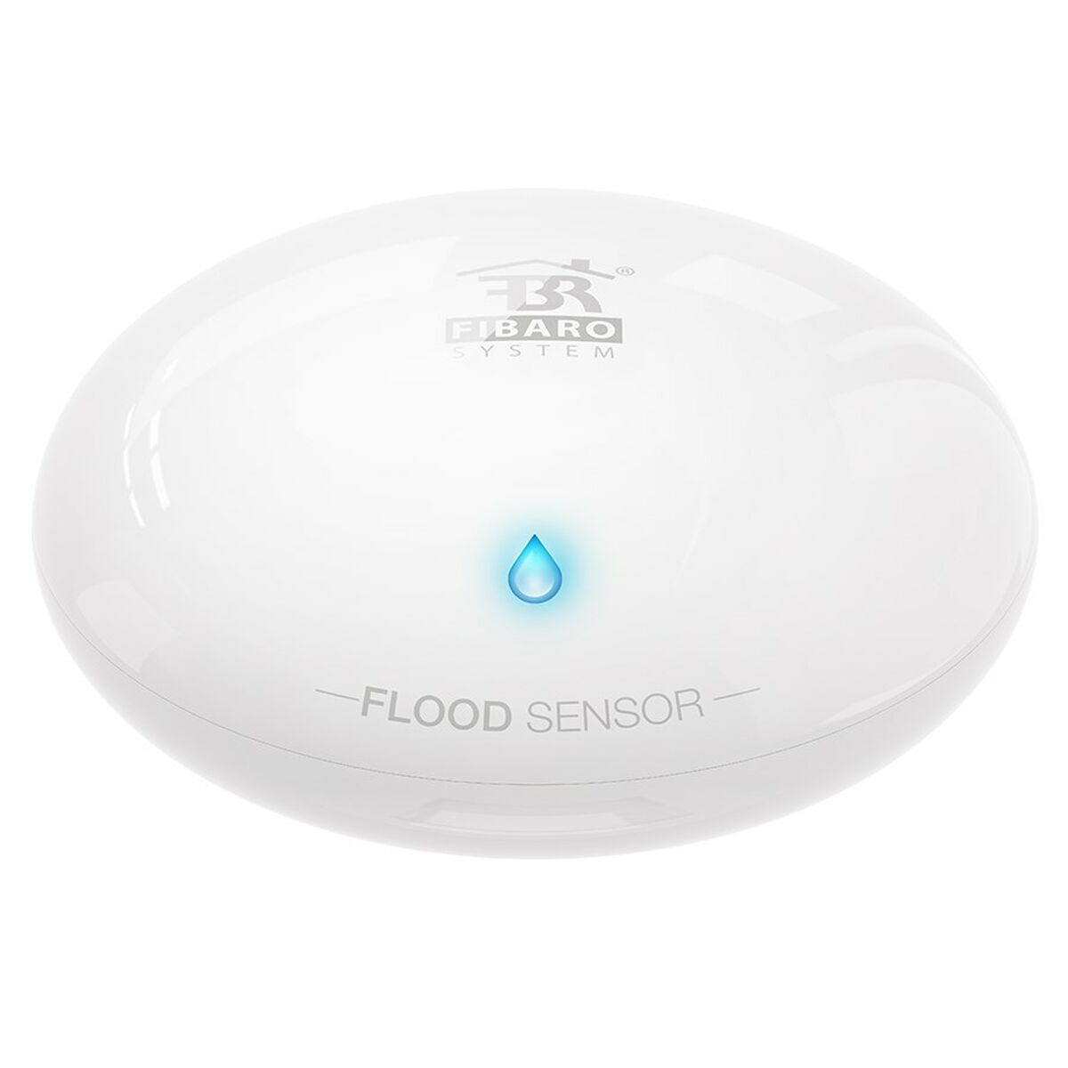 Temepratur- och fuktighetssensor Fibaro FGFS-101 ZW5