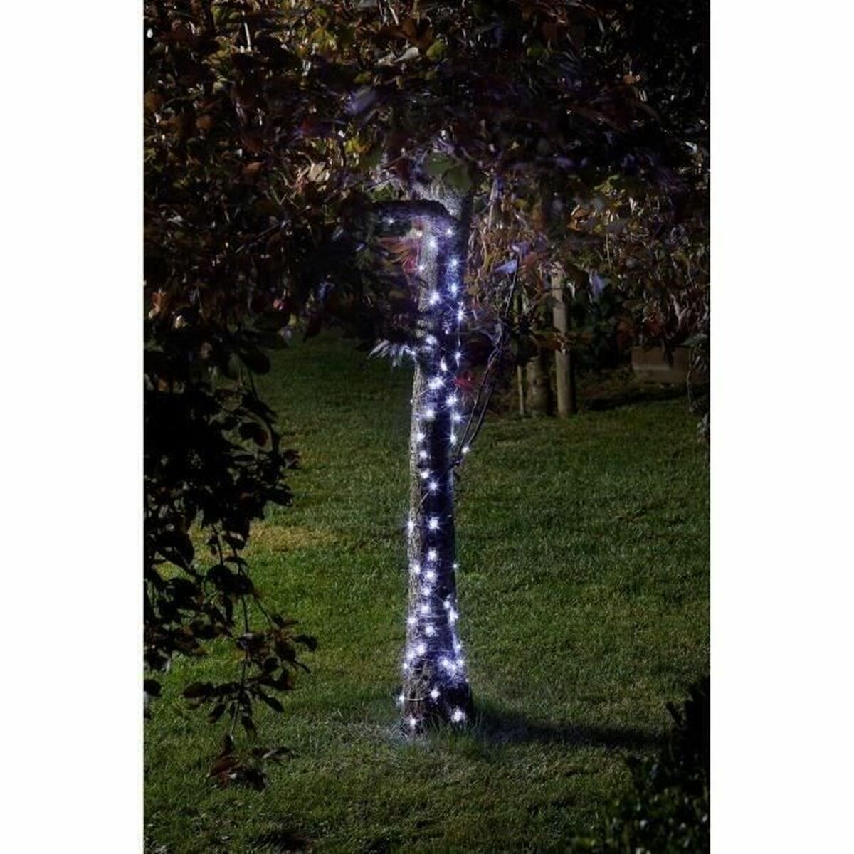 LED-krans Super Smart Luciole Kallt ljus Vit - 2