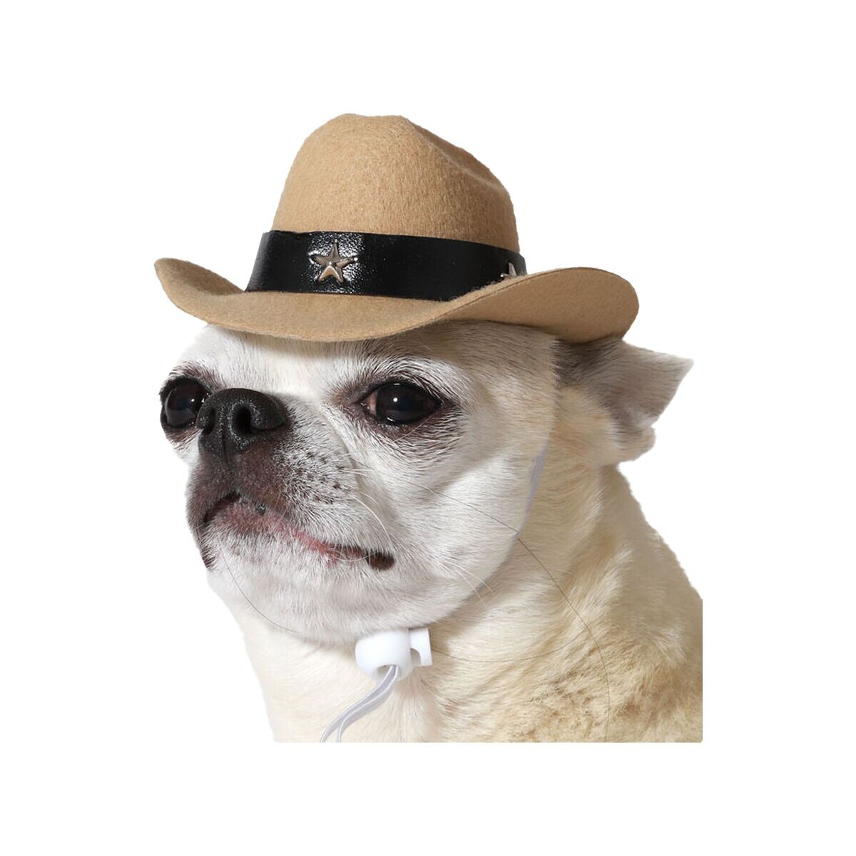 Hundkostym Hatt Polis