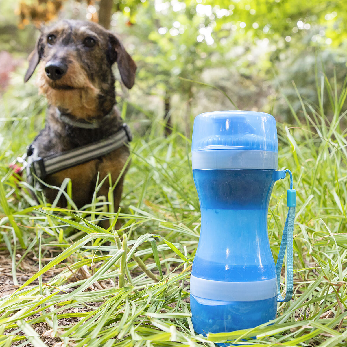 Två i en-flaska med vatten och matbehållare för husdjur Pettap InnovaGoods - 8