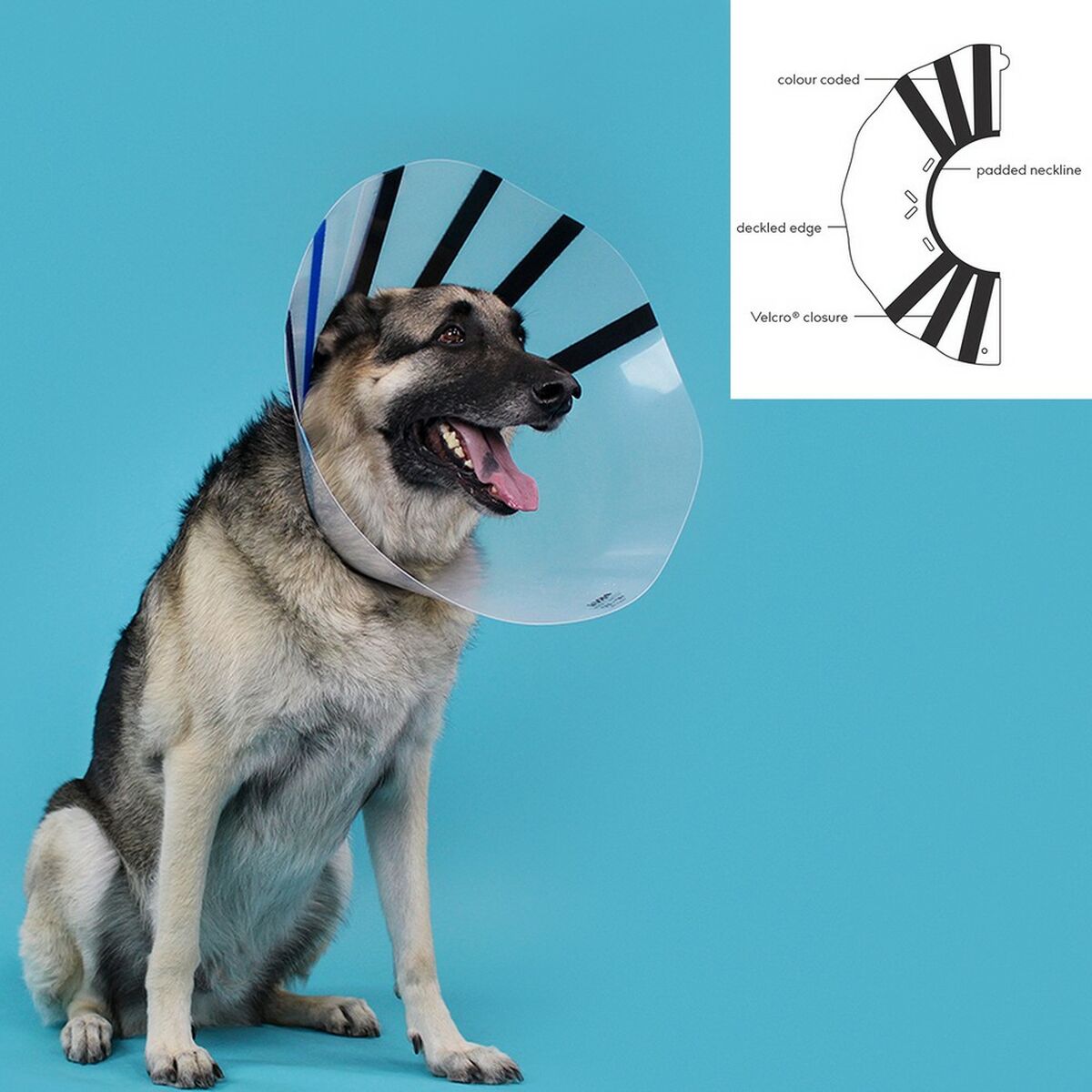 Elizabethan Hundhalsband KVP EZ Clear (32-39 cm) - 2