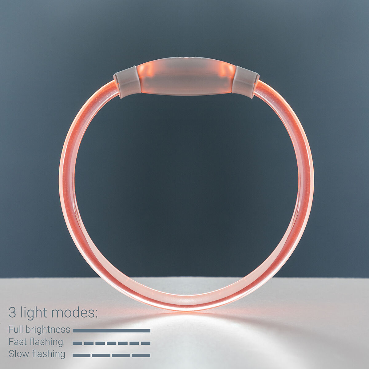 LED-halsband för husdjur Petlux InnovaGoods - 5
