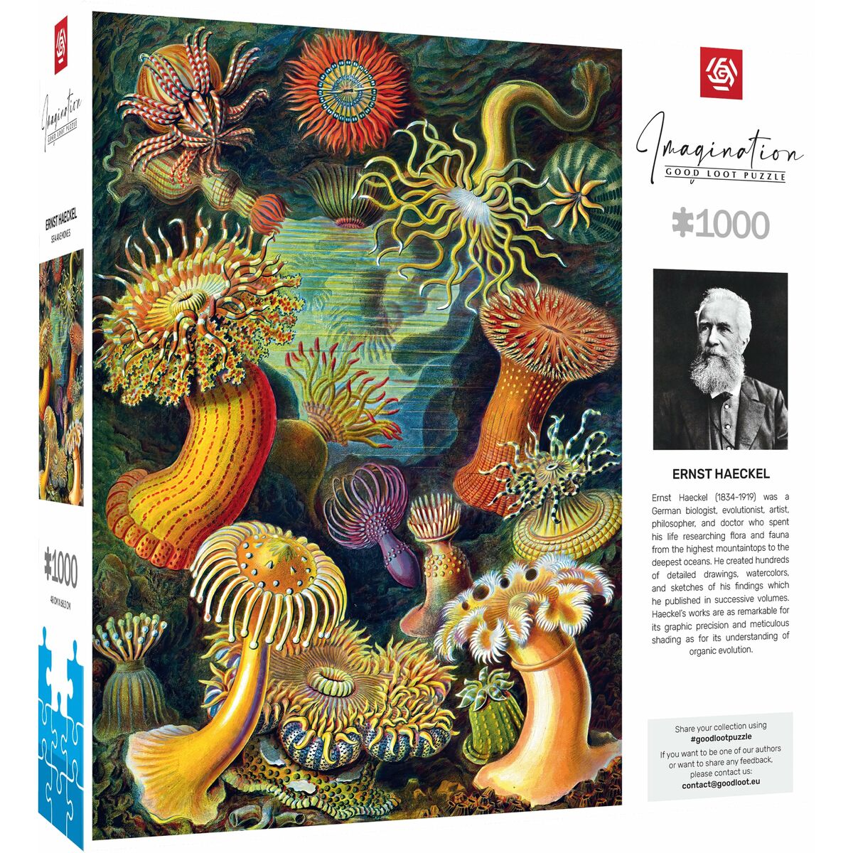 Pussel Cenega Publishing Ernst Haeckel Criaturas marinas 1000 Delar - 2