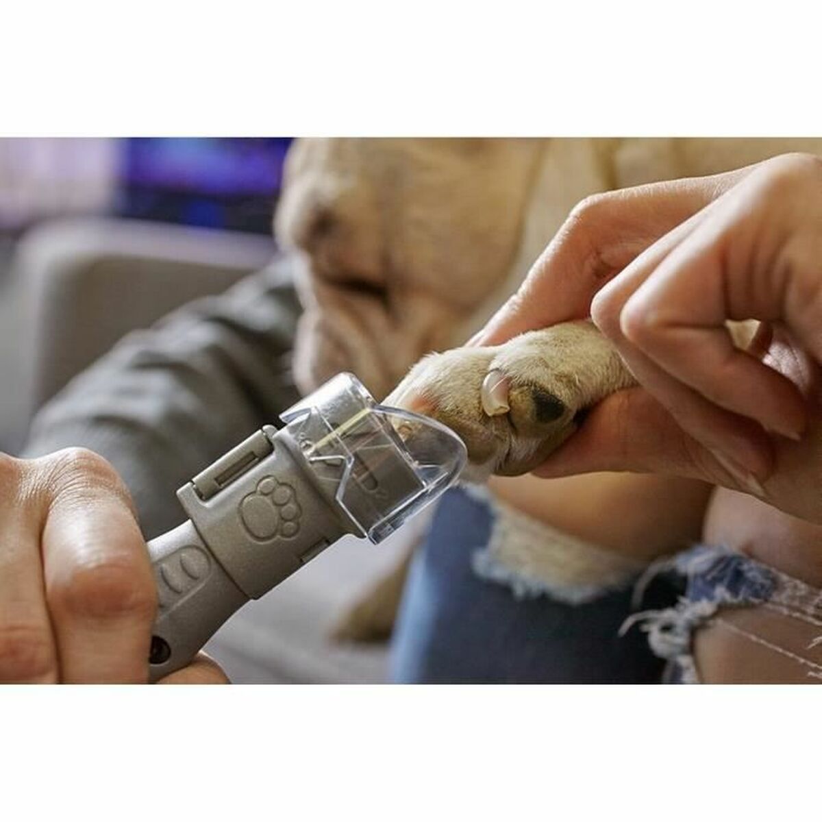 Elektrisk nagelfil för husdjur Dremel 7020-PGK - 4