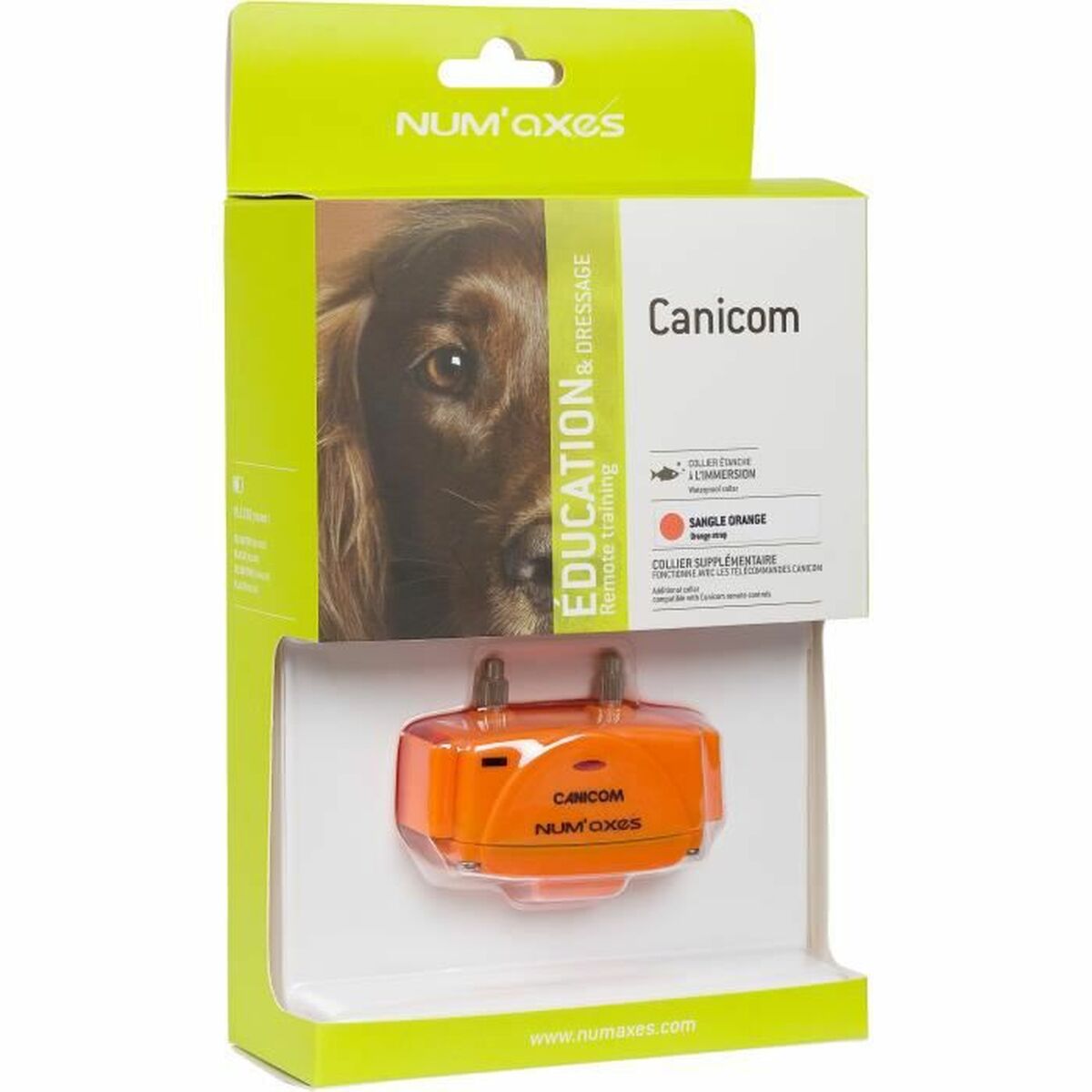 Hund utbildning kragar Num'Axes Orange - 4