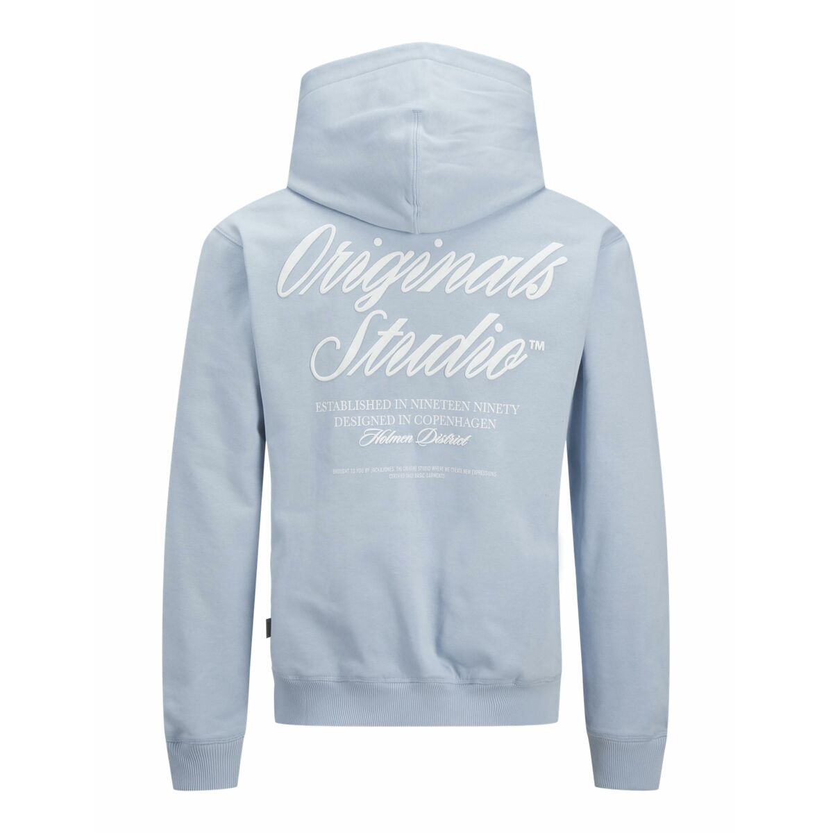 Tröja med huva Herr Jack & Jones JORNORREBRO TYPO BACK SWEAT HOOD SN 12283054 Blå - 2