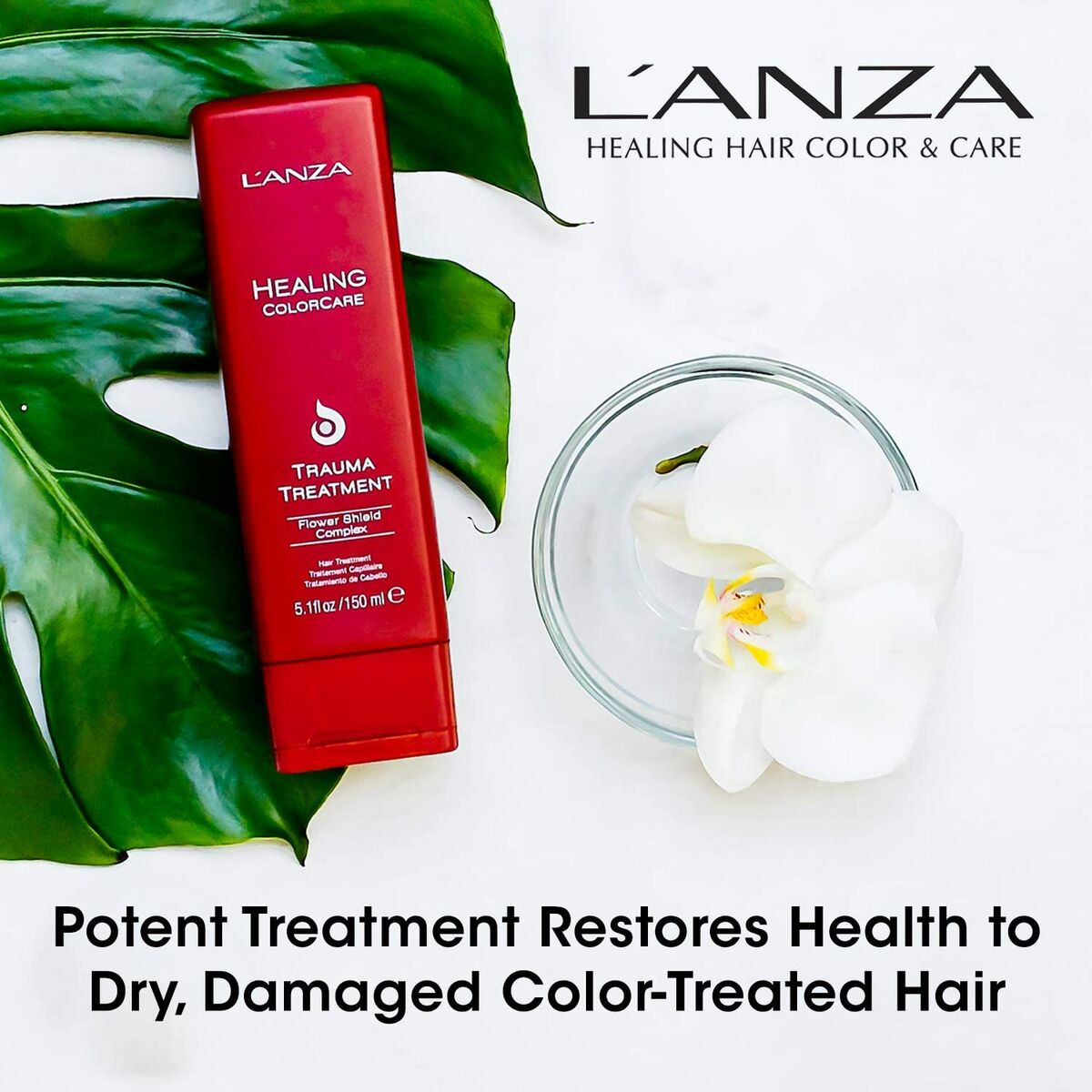 Färgskyddande kräm L'ANZA Trauma Treatment 1 L - 3