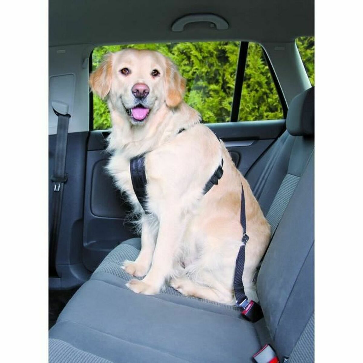 Hundsele Trixie Svart - 2