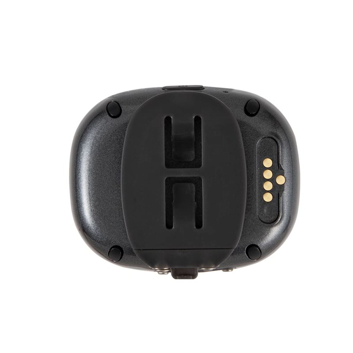 GPS-sökare LEOTEC Leotec 4G Pet Tracker Negro Svart - 12