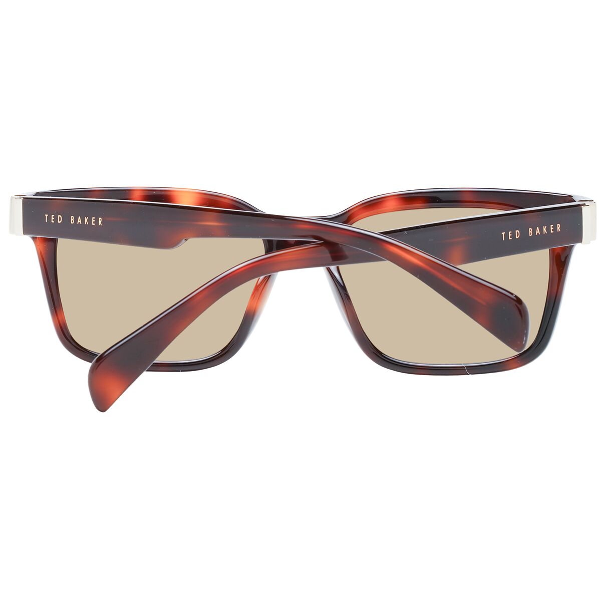 Herrsolglasögon Ted Baker TB1696 54101 - 2