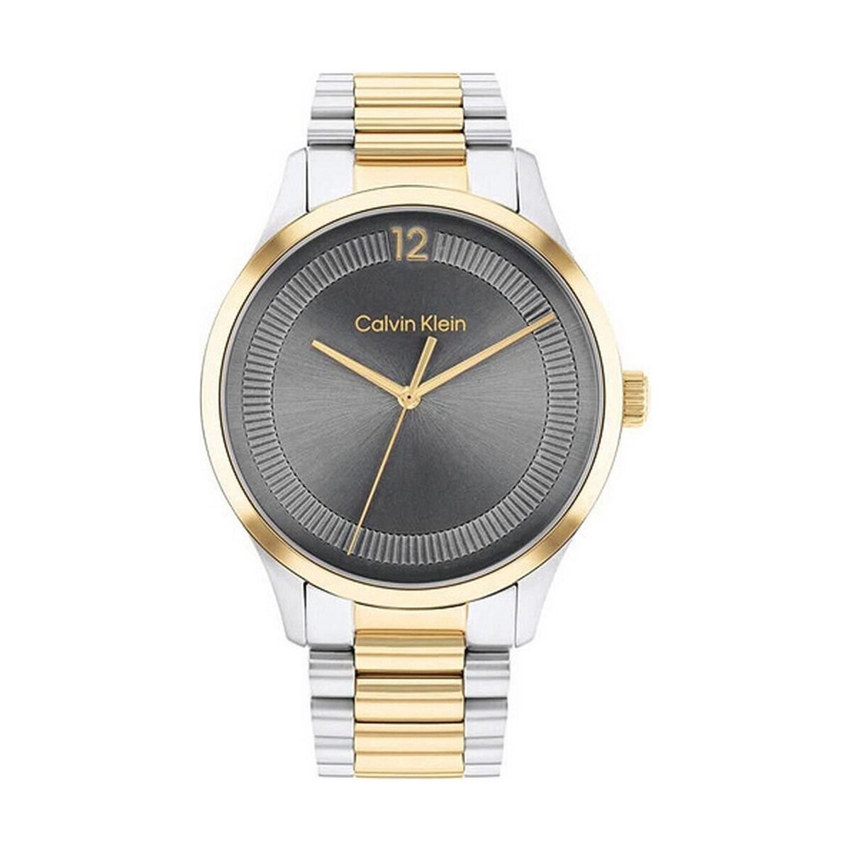 Herrklocka Calvin Klein 25200226