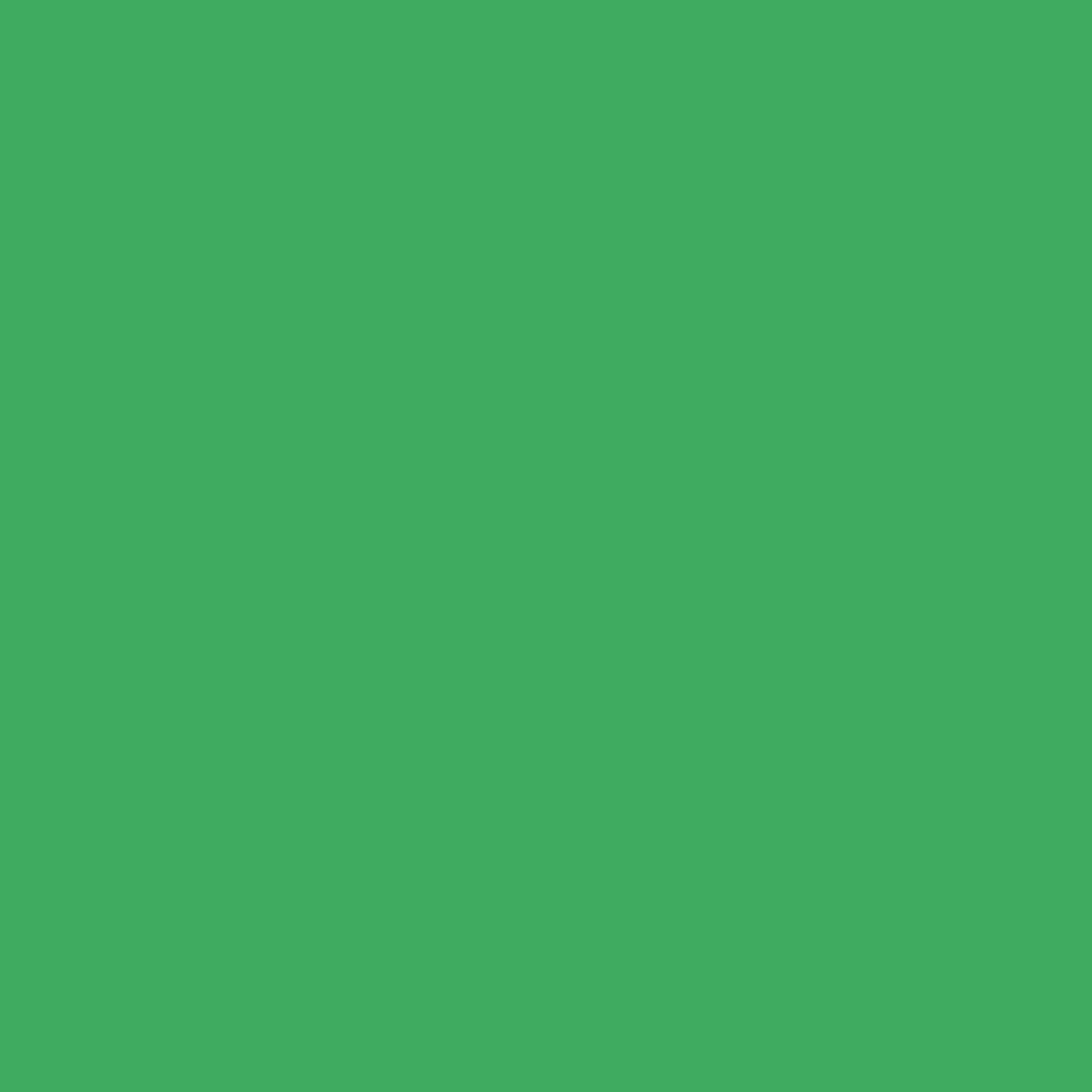 Flytande färgämne med hög koncentration Bruguer Emultin 5056657 Grass Green 50 ml - 3