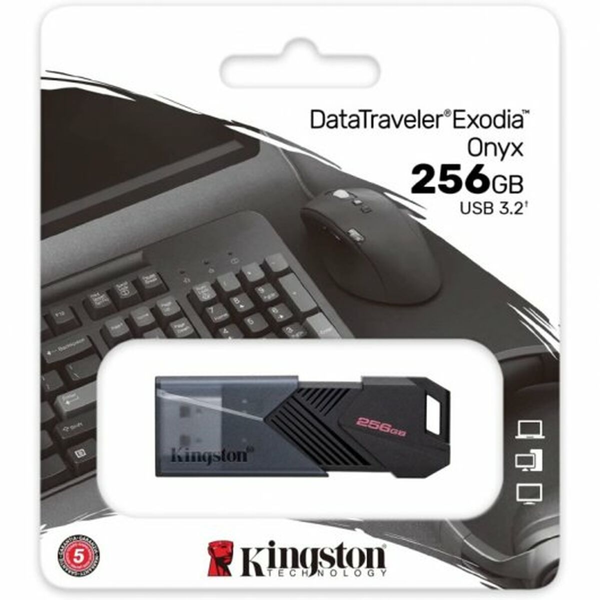 USB-minne Kingston DTXON/256GB Svart 256 GB (1 antal) - 4